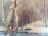 Snow Scene